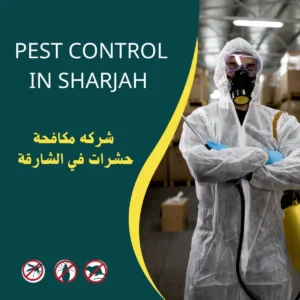 شركة مكافحة حشرات في الشارقة