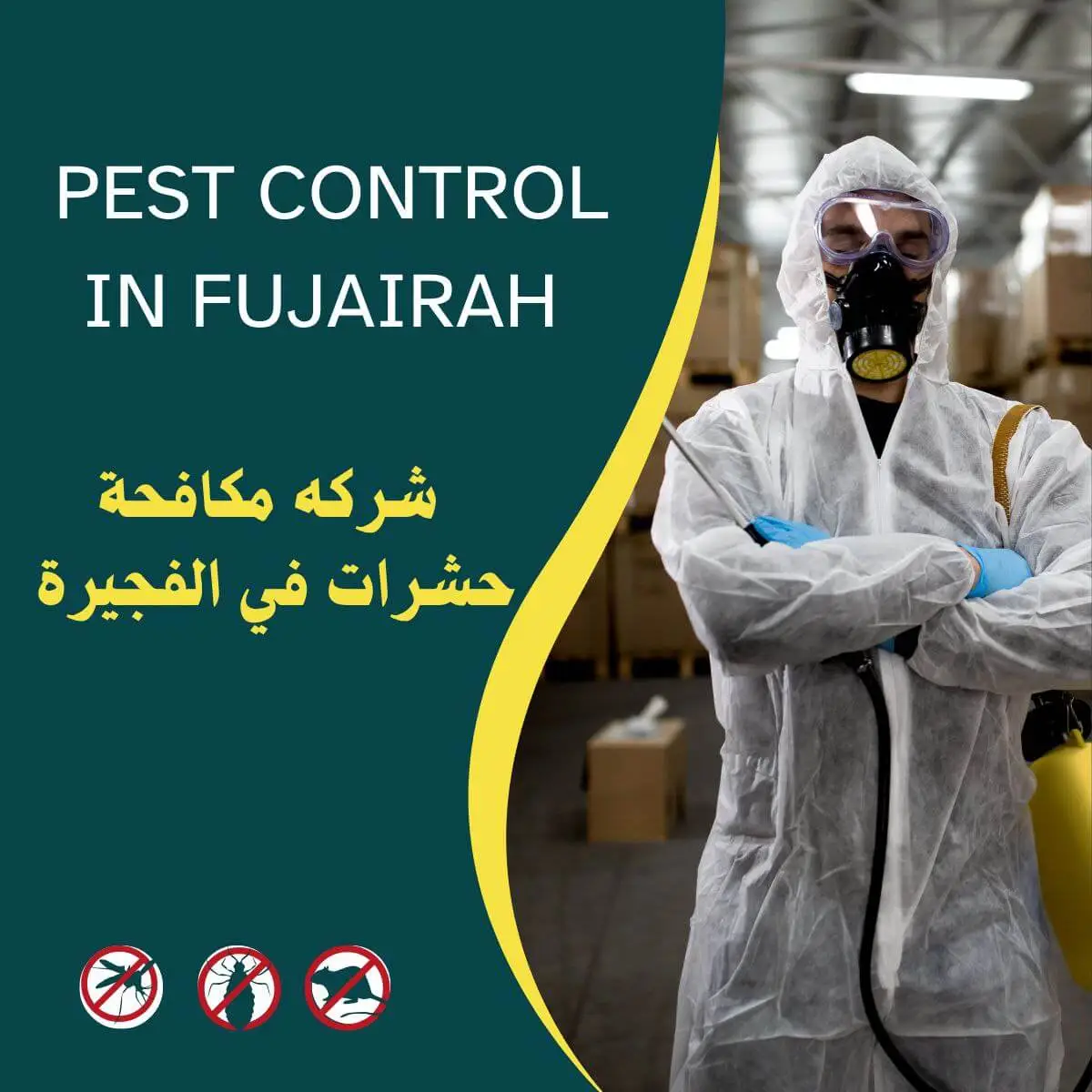 شركة مكافحة حشرات في الفجيرة