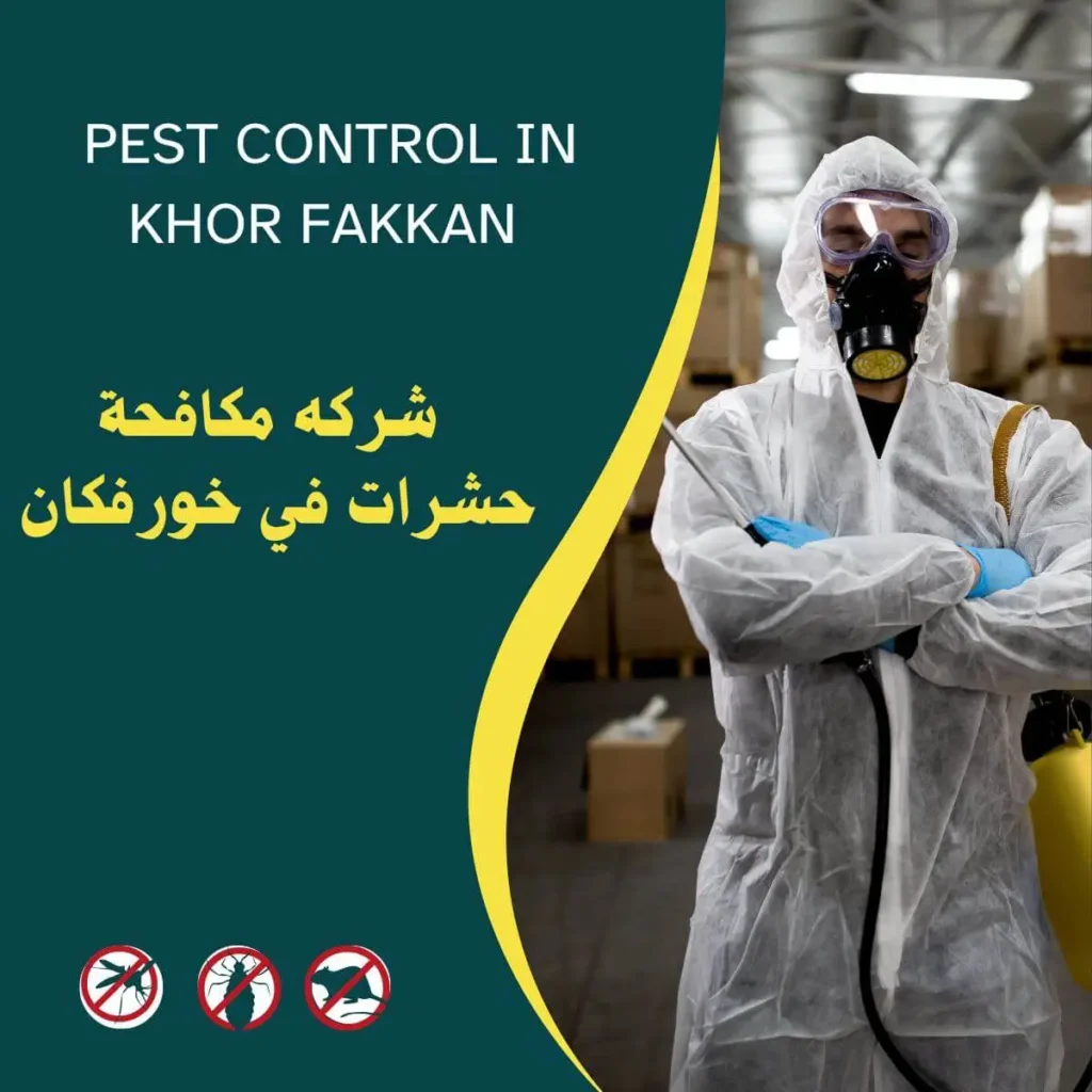 شركة مكافحة حشرات في خورفكان