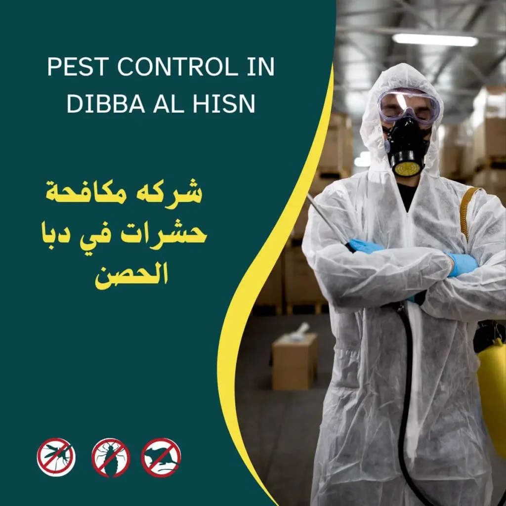 شركة مكافحة حشرات في دبا الحصن