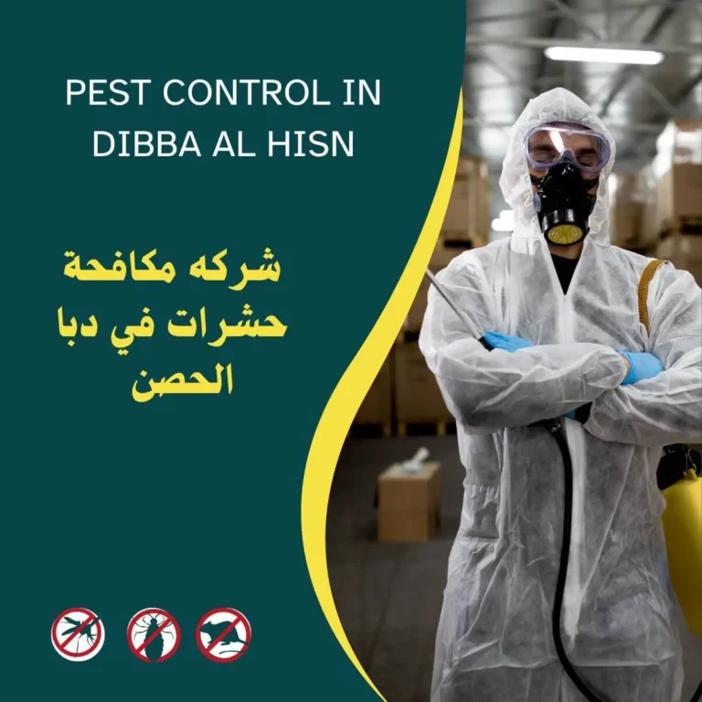 شركة مكافحة حشرات في دبا الحصن