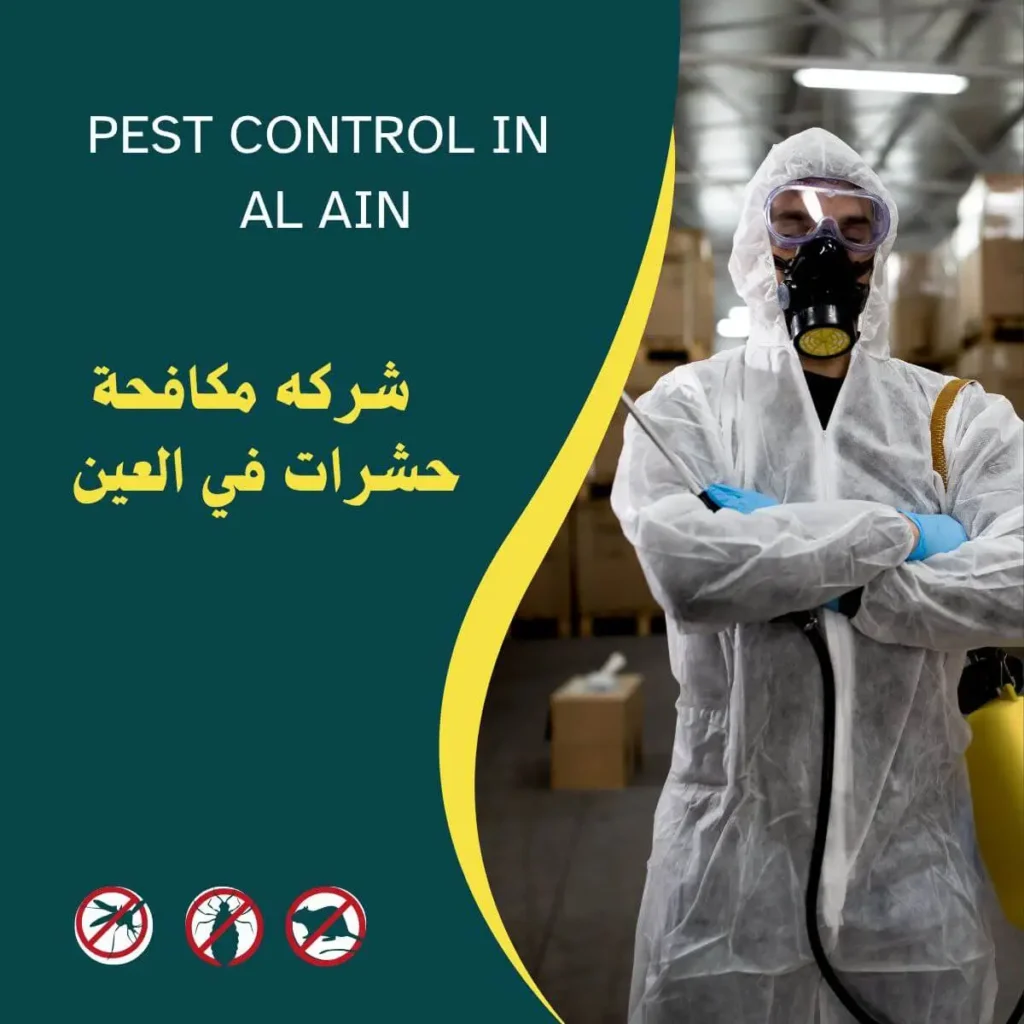 شركة مكافحة حشرات في العين