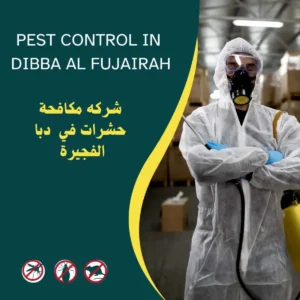 شركة مكافحة حشرات في دبا الفجيرة