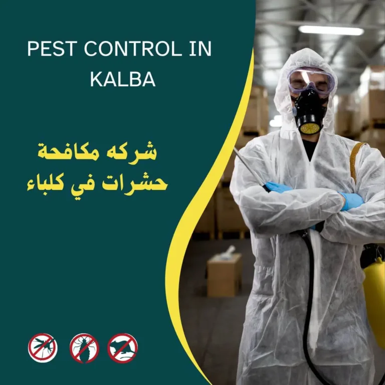شركة مكافحة حشرات في كلباء