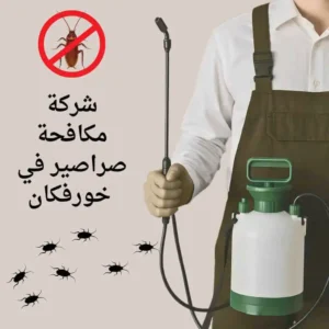 شركة مكافحة صراصير في خورفكان