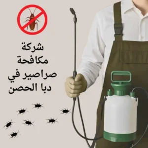 شركة مكافحة صراصير في دبا الحصن
